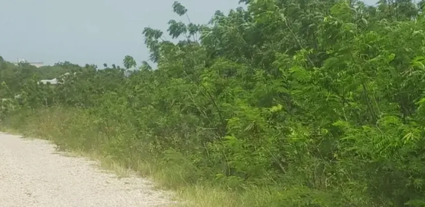 0.27 acres land in Glanvilles